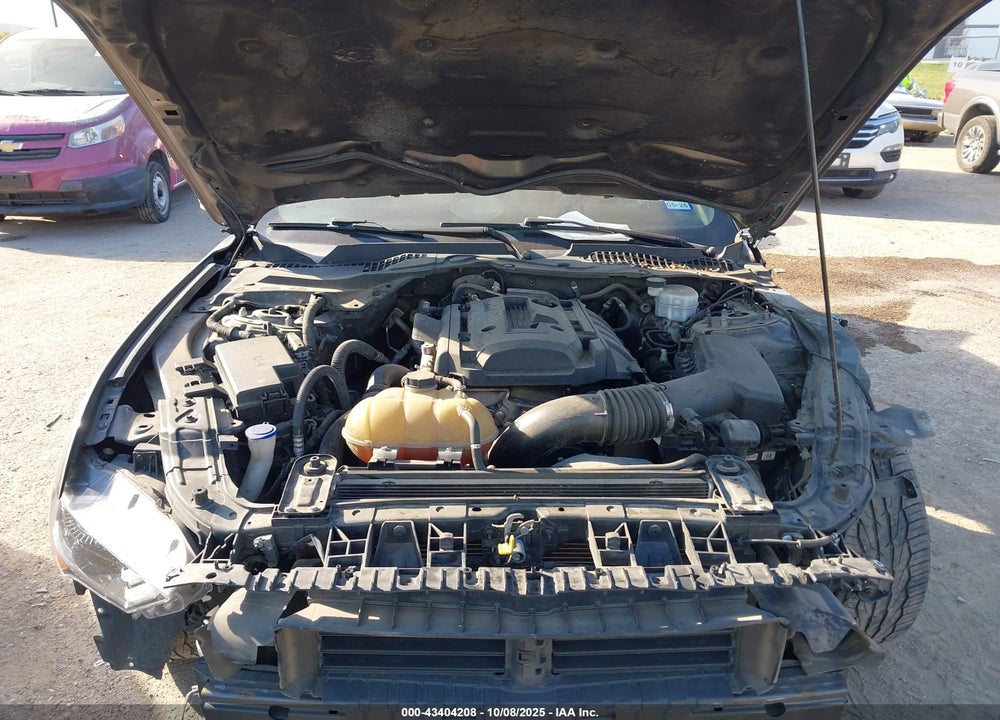 2020 FORD MUSTANG ECOBOOST FASTBACK VIN: 1FA6P8TH8L5130028