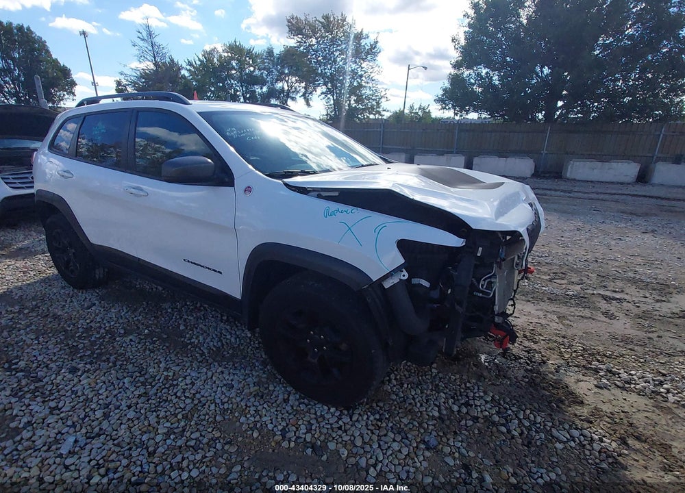2019 JEEP CHEROKEE TRAILHAWK 4X4 VIN: 1C4PJMBX6KD167102