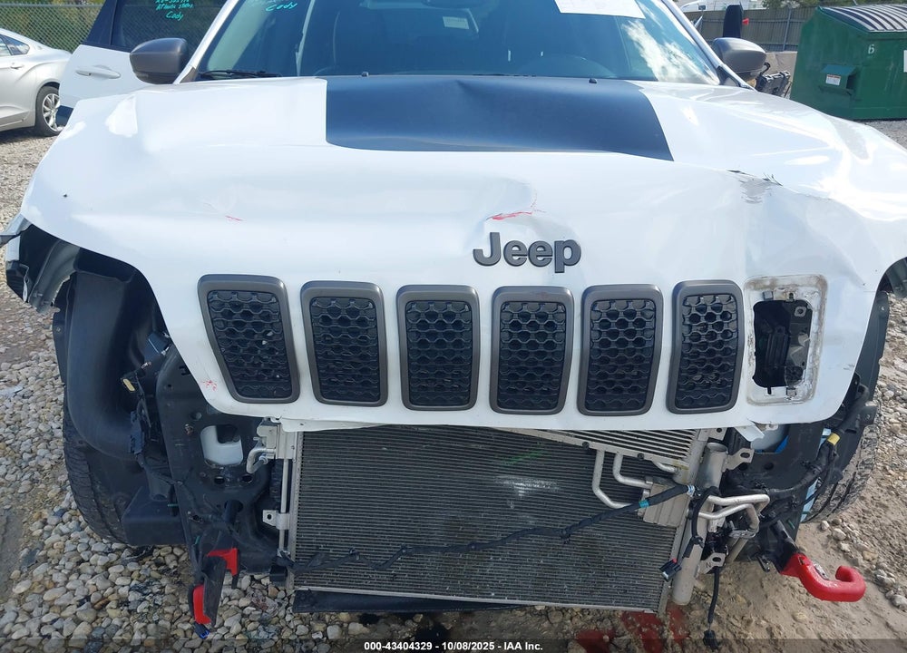 2019 JEEP CHEROKEE TRAILHAWK 4X4 VIN: 1C4PJMBX6KD167102