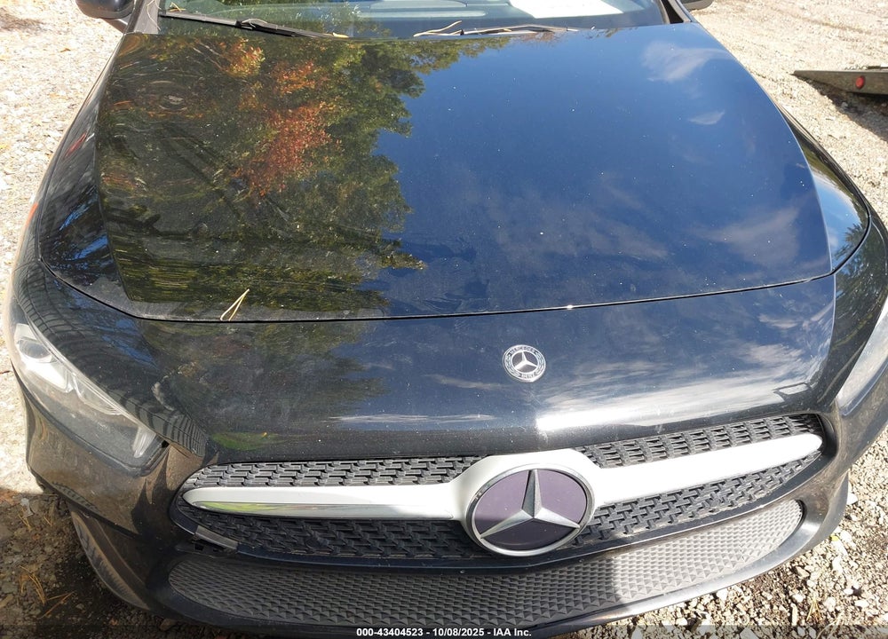 2020 MERCEDES-BENZ A 220 4MATIC VIN: W1K3G4FB8LJ199022