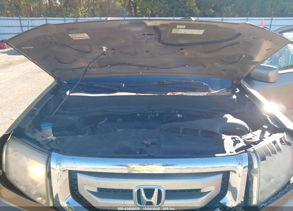2009 HONDA PILOT EX-L VIN: 5FNYF48559B046642