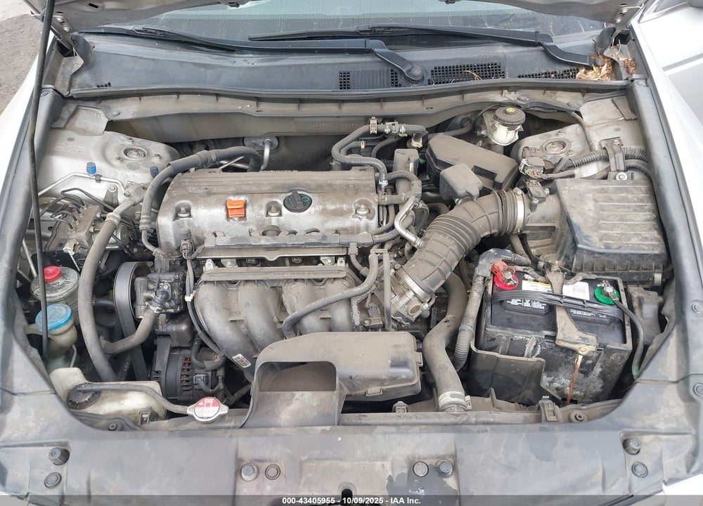 2010 HONDA ACCORD VIN: 1HGCP2F30AA173293