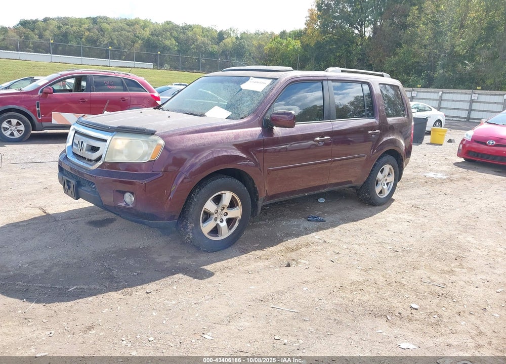 2011 HONDA PILOT VIN: 5FNYF3H67BB036025