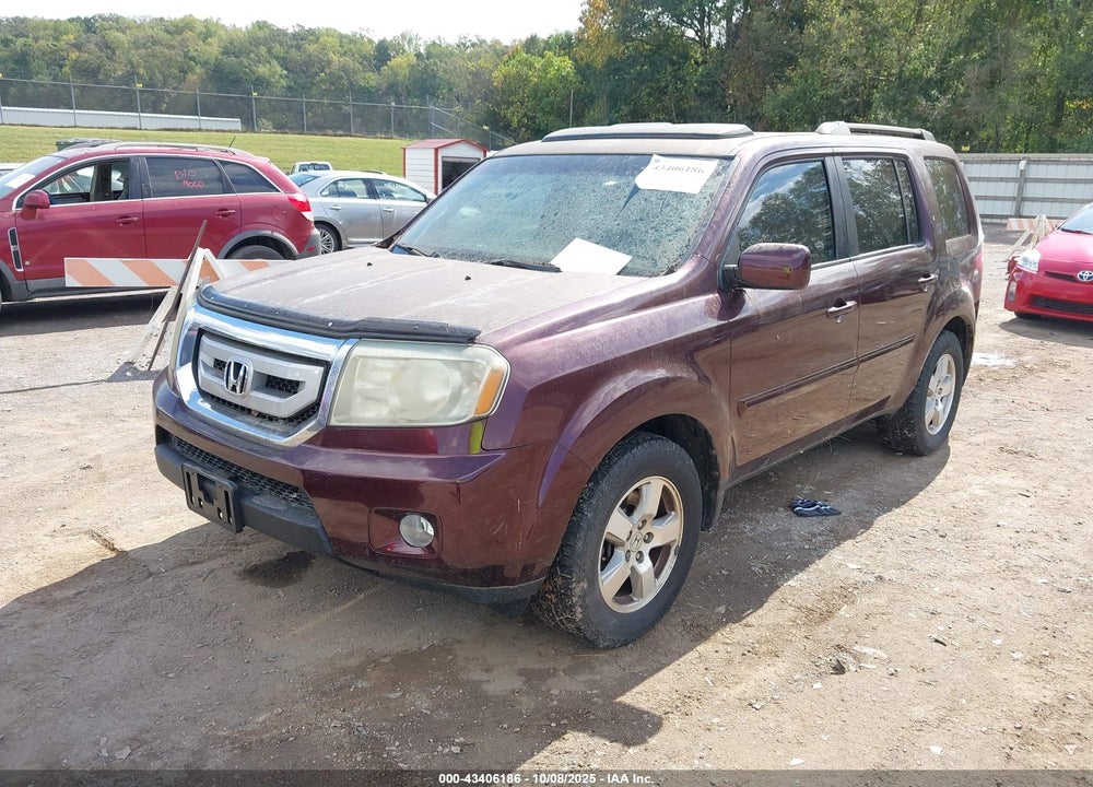 2011 HONDA PILOT VIN: 5FNYF3H67BB036025