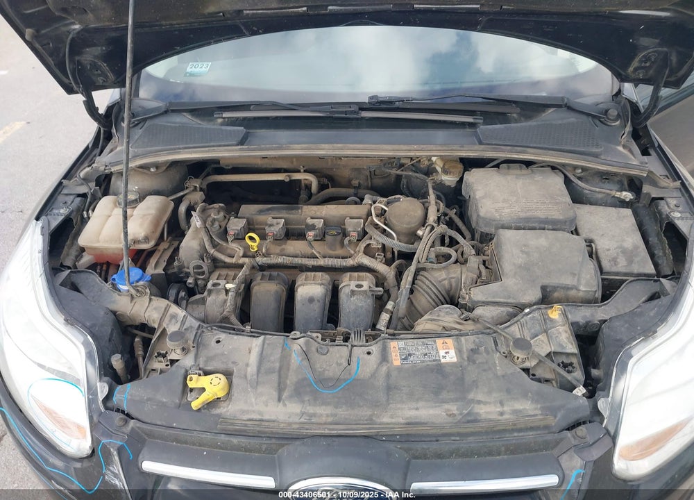2014 FORD FOCUS SE VIN: 1FADP3K28EL391150