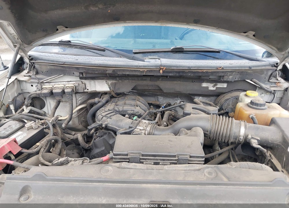 2014 FORD F-150 XL VIN: 1FTEW1CM8EKE85881