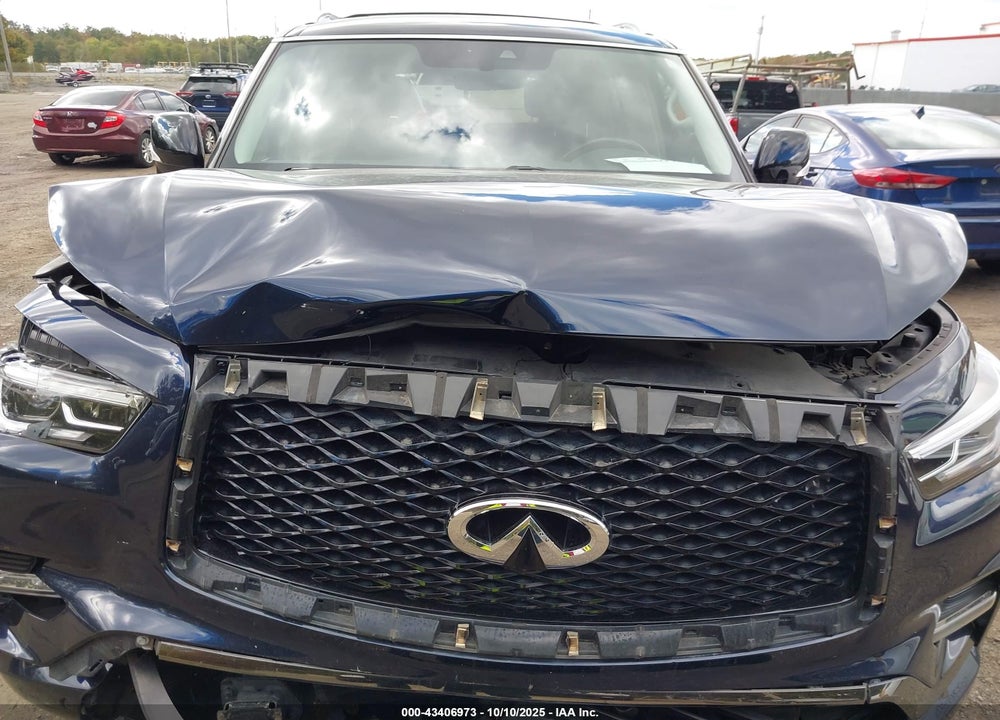 2021 INFINITI QX80 PREMIUM SELECT AWD VIN: JN8AZ2AEXM9269886