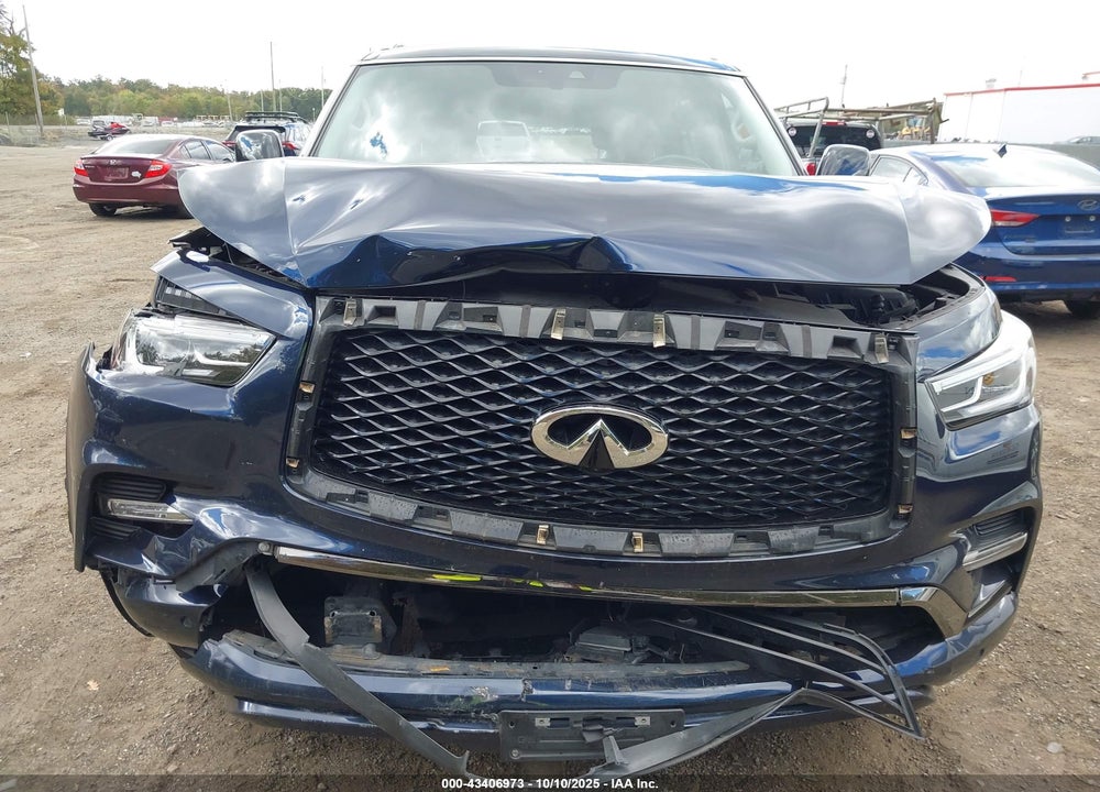 2021 INFINITI QX80 PREMIUM SELECT AWD VIN: JN8AZ2AEXM9269886