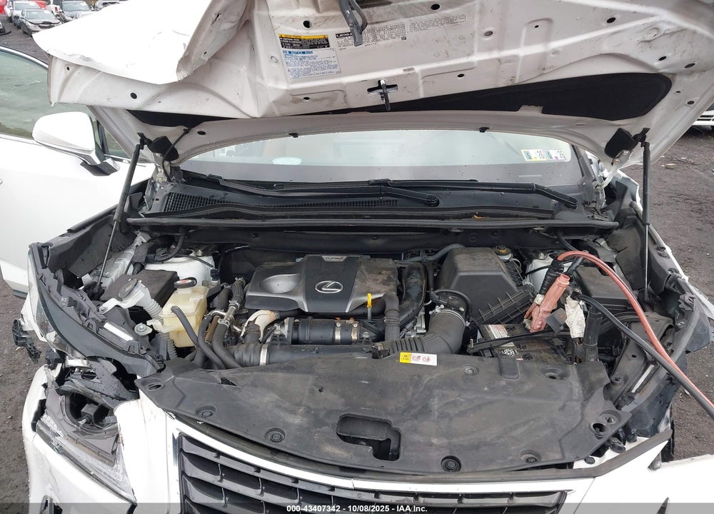 2019 LEXUS NX 300 VIN: JTJBARBZ3K2185512