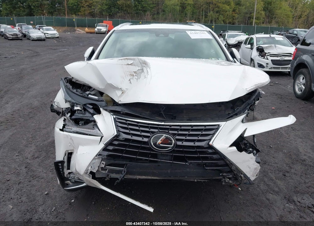 2019 LEXUS NX 300 VIN: JTJBARBZ3K2185512