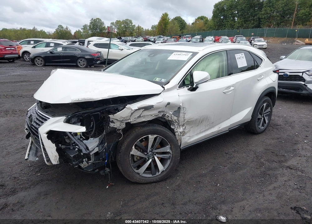 2019 LEXUS NX 300 VIN: JTJBARBZ3K2185512