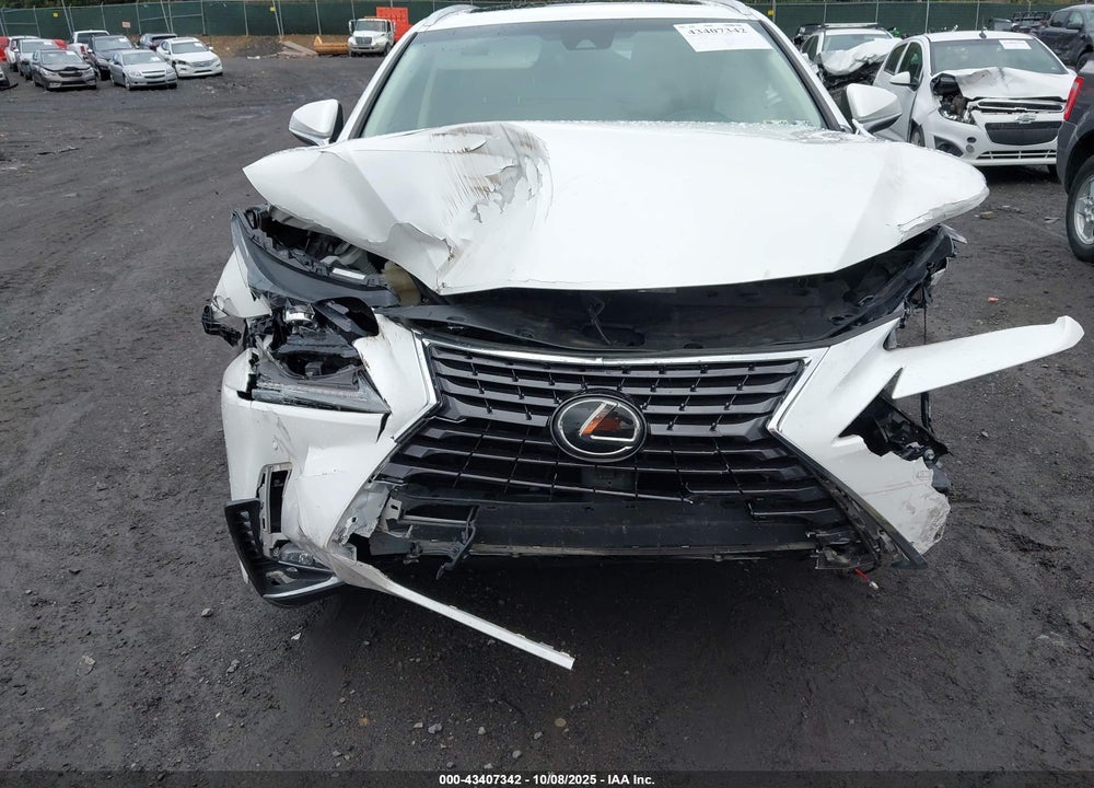 2019 LEXUS NX 300 VIN: JTJBARBZ3K2185512