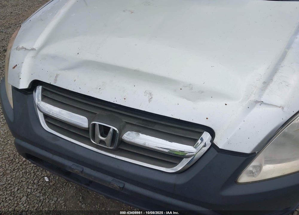 2004 HONDA CR-V LX VIN: JHLRD68594C023640