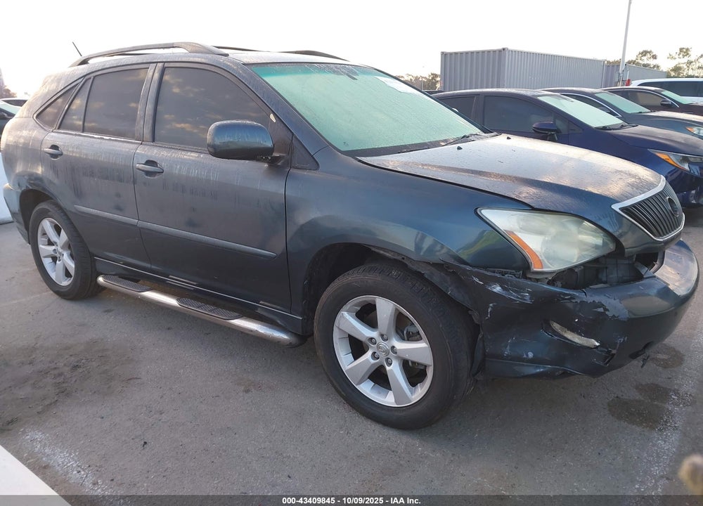 2004 LEXUS RX 330 VIN: JTJGA31U040002509