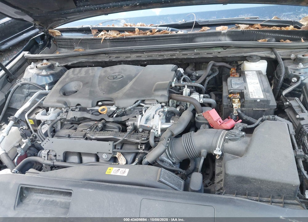 2019 TOYOTA CAMRY VIN: 4T1B11HK6KU289846