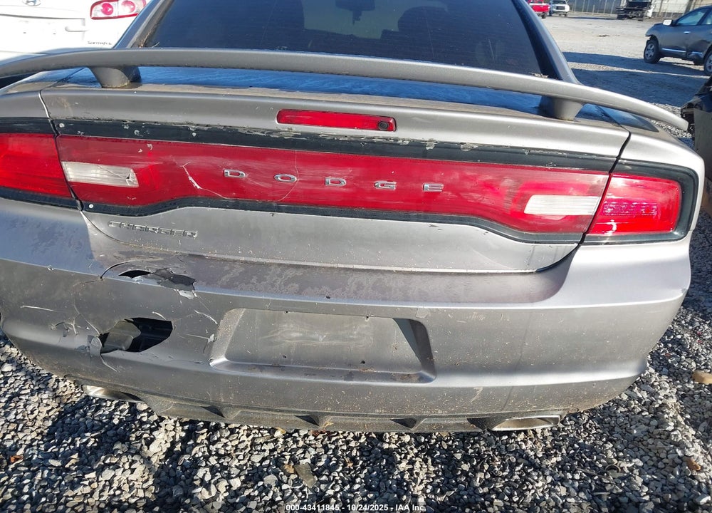 2014 DODGE CHARGER VIN: 2C3CDXDT1EH248621