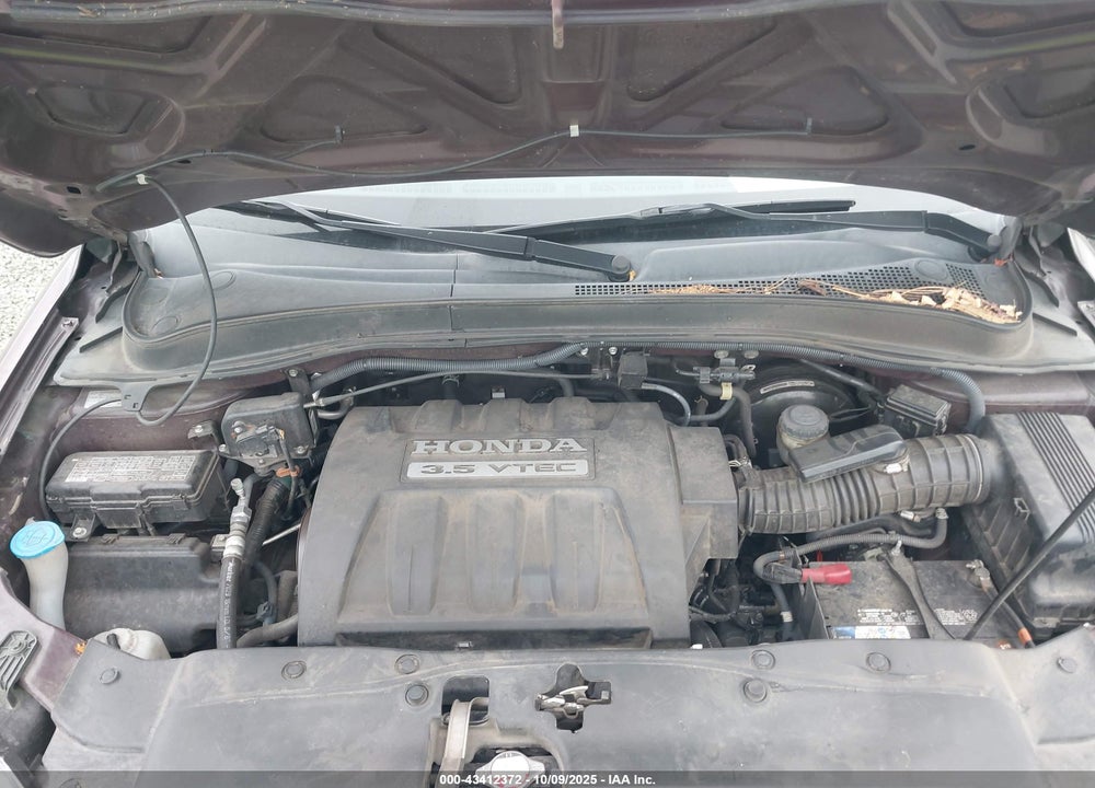 2007 HONDA PILOT EX-L VIN: 2HKYF18687H509704