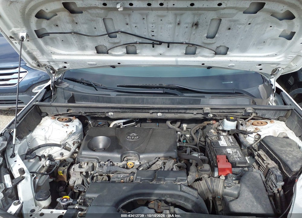 2019 TOYOTA RAV4 LE VIN: 2T3F1RFV9KW040218