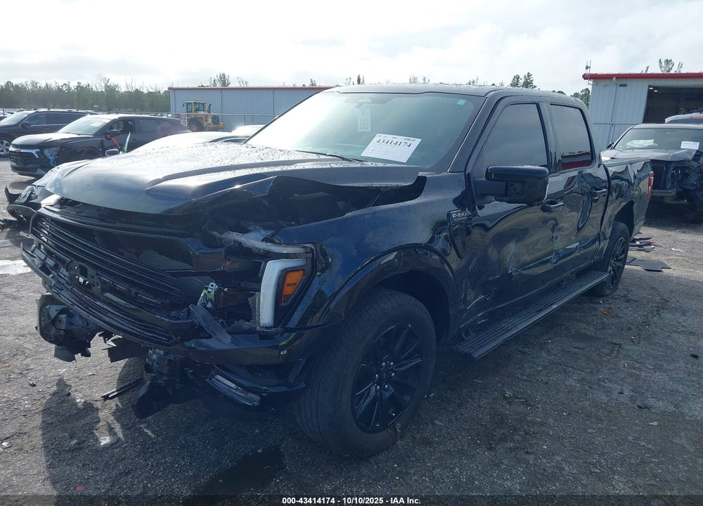 2024 FORD F-150 PLATINUM VIN: 1FTFW7LD9RFB40168