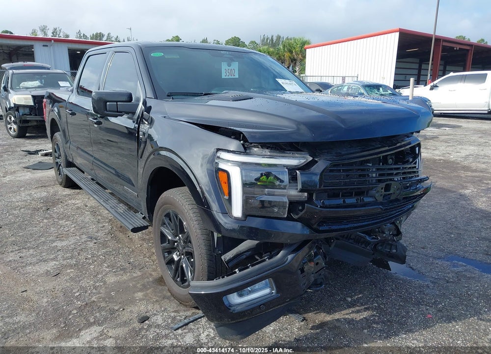 2024 FORD F-150 PLATINUM VIN: 1FTFW7LD9RFB40168