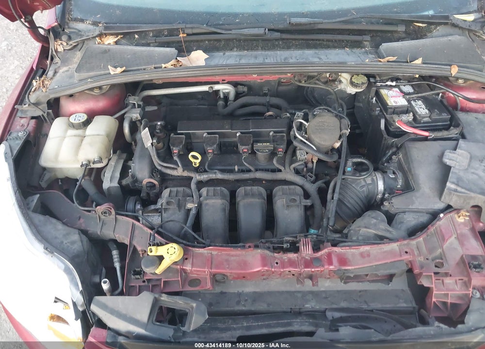 2013 FORD FOCUS VIN: 1FADP3F2XDL332500