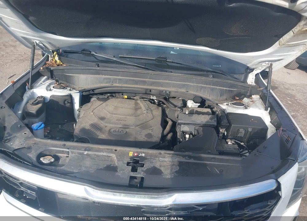 2020 KIA TELLURIDE S VIN: 5XYP64HC9LG066645