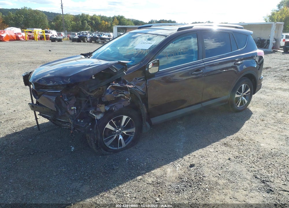 2016 TOYOTA RAV4 XLE VIN: 2T3RFREV4GW446642
