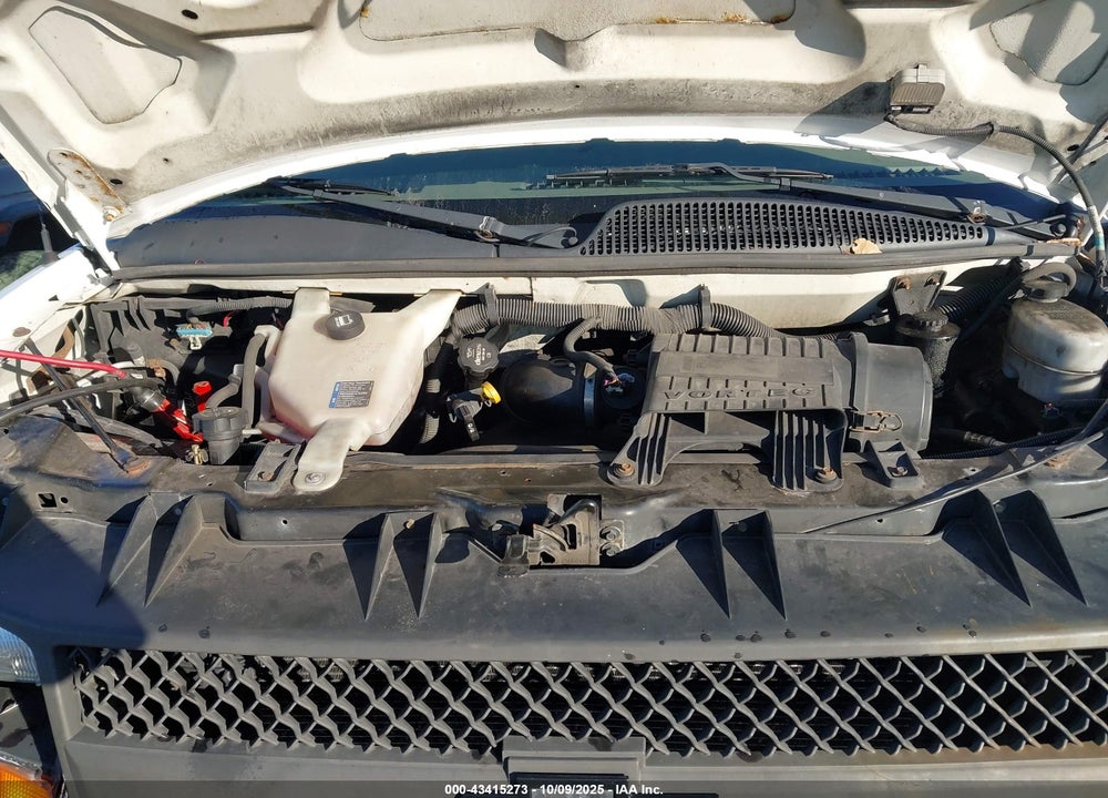 2013 CHEVROLET EXPRESS 1500 WORK VAN VIN: 1GCSGAFX0D1165836