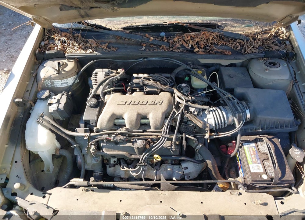 2002 CHEVROLET MALIBU VIN: 1G1ND52J02M687000