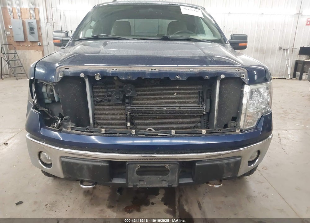 2010 FORD F-150 FX4/LARIAT/XL/XLT VIN: 1FTFX1EV8AKE37699