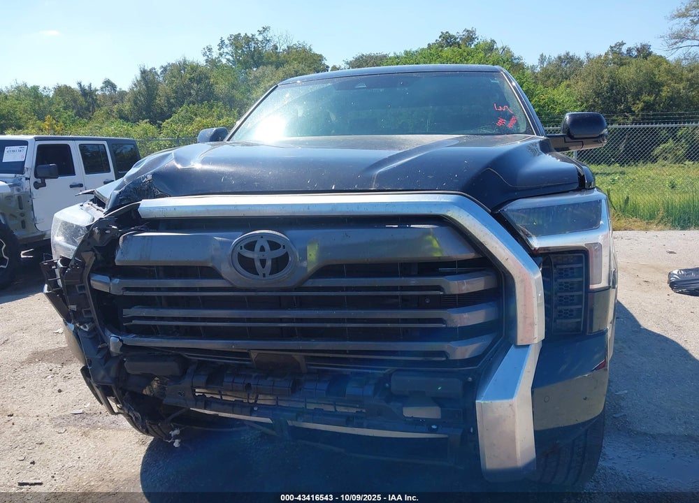 2025 TOYOTA TUNDRA LIMITED 4WD VIN: 5TFJA5DB1SX254479