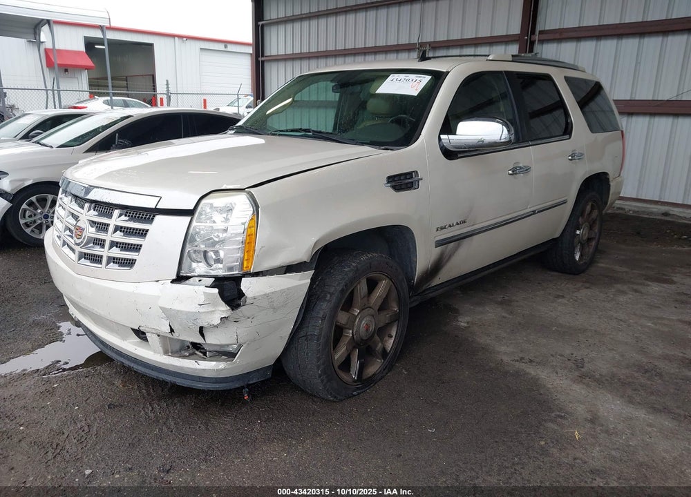 2011 CADILLAC ESCALADE VIN: 1GYS3CEF0BR130853