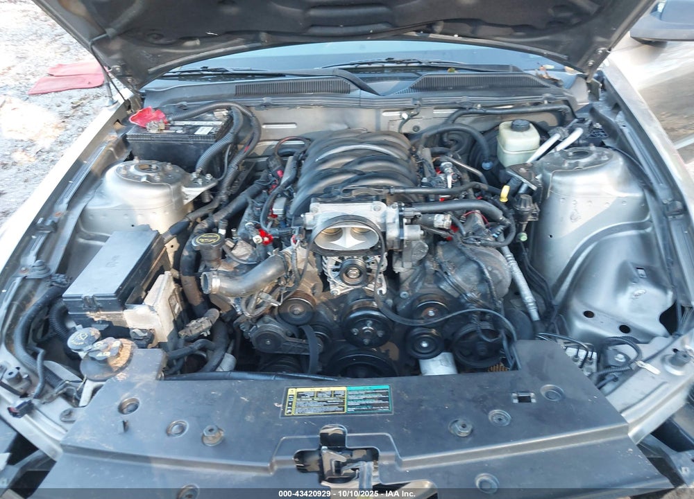 2005 FORD MUSTANG GT DELUXE/GT PREMIUM VIN: 1ZVHT82H055193169