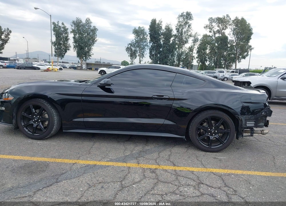 2019 FORD MUSTANG VIN: 1FA6P8TH5K5203533