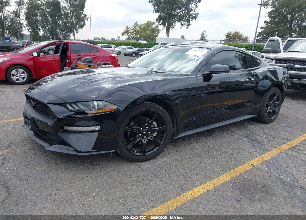 2019 FORD MUSTANG VIN: 1FA6P8TH5K5203533
