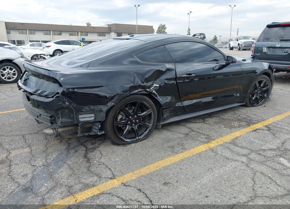 2019 FORD MUSTANG VIN: 1FA6P8TH5K5203533