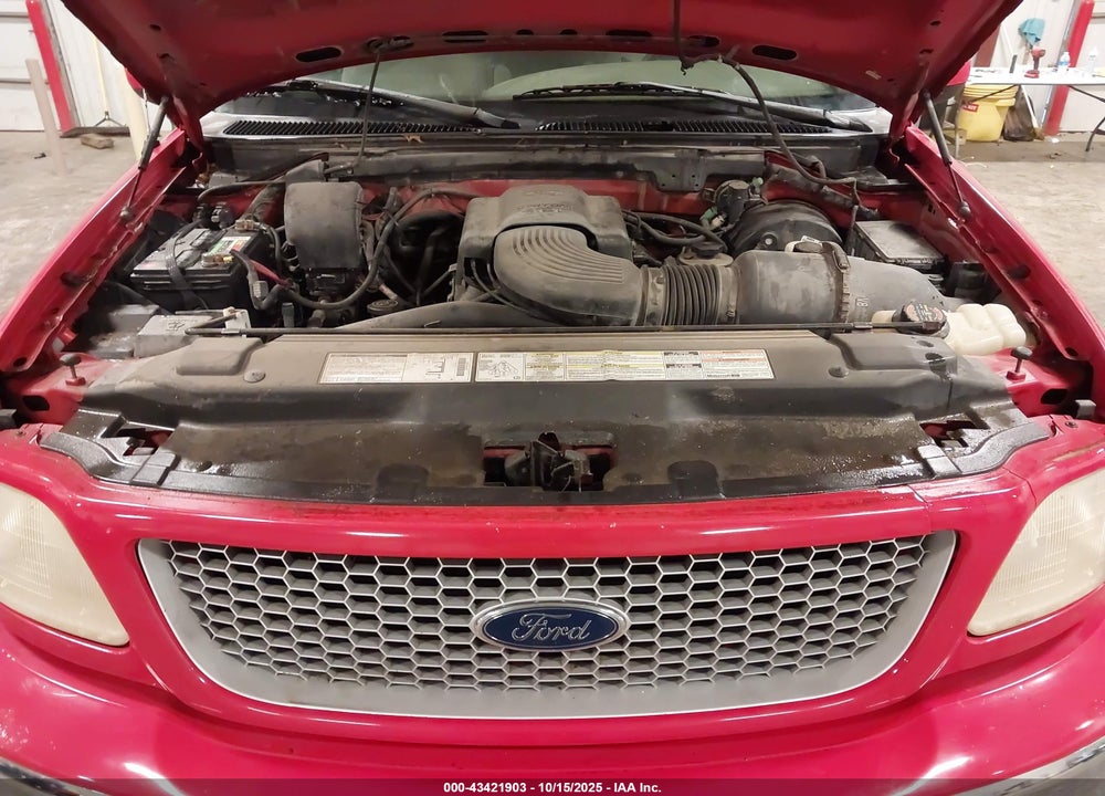 1999 FORD F-150 LARIAT/WORK SERIES/XL/XLT VIN: 1FTRX18W8XKA25051