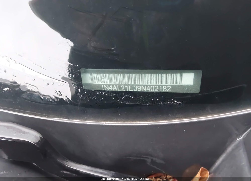 2009 NISSAN ALTIMA 2.5 S VIN: 1N4AL21E39N402182