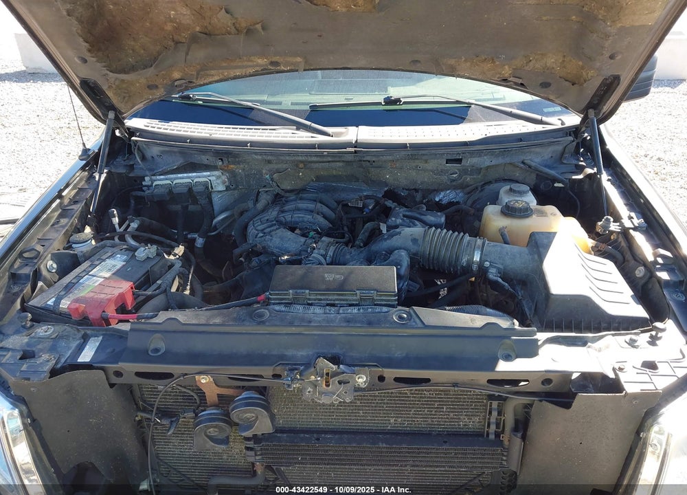 2011 FORD F-150 VIN: 1FTMF1CM1BKE07983