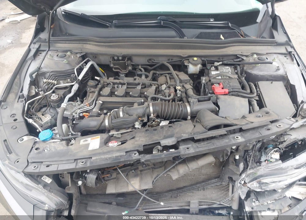 2021 HONDA ACCORD LX VIN: 1HGCV1F1XMA020083