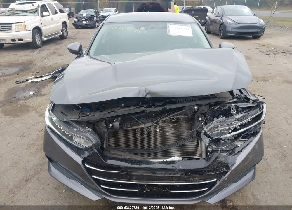 2021 HONDA ACCORD LX VIN: 1HGCV1F1XMA020083