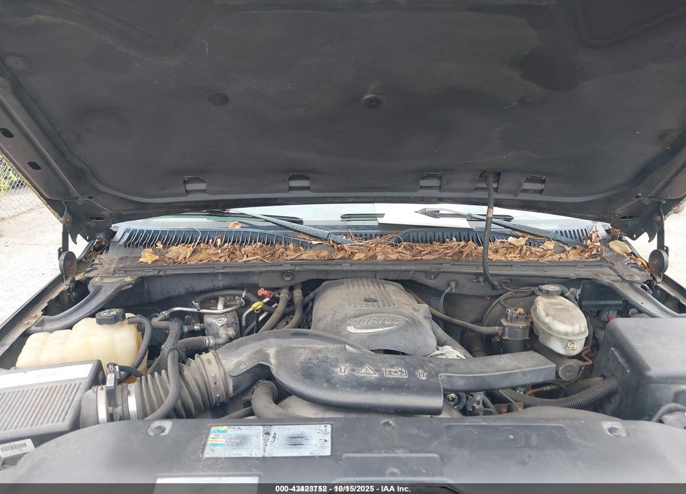 2003 CHEVROLET TAHOE LT VIN: 1GNEK13Z43J166270