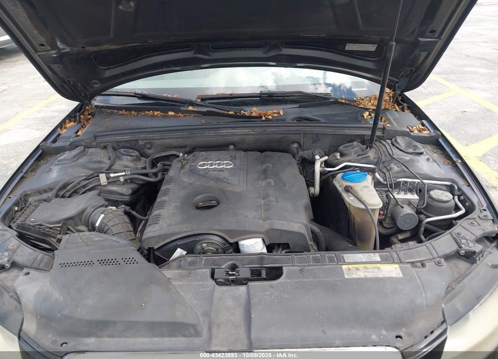 2011 AUDI A4 VIN: WAUAFAFL0BN011531