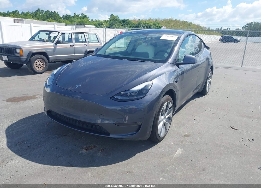 2023 TESLA MODEL Y RWD VIN: 7SAYGDED6PF944272
