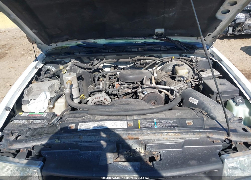 2002 CHEVROLET S-10 LS VIN: 1GCCS19W228243706
