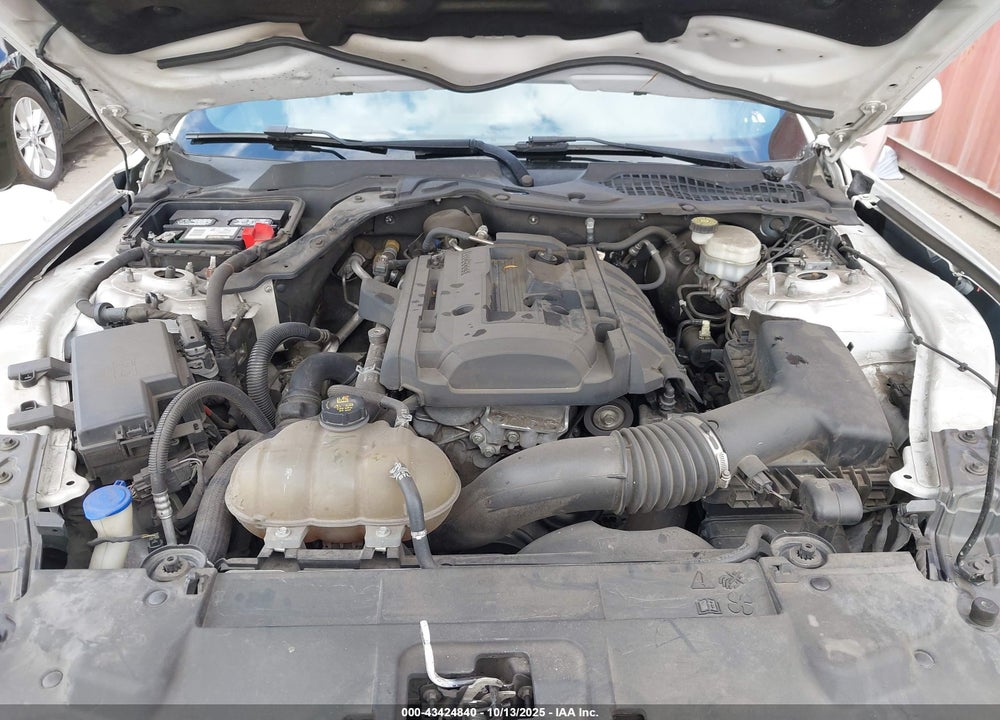 2020 FORD MUSTANG ECOBOOST FASTBACK VIN: 1FA6P8TH5L5135610