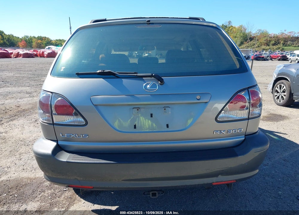 2001 LEXUS RX 300 VIN: JTJHF10U710228148