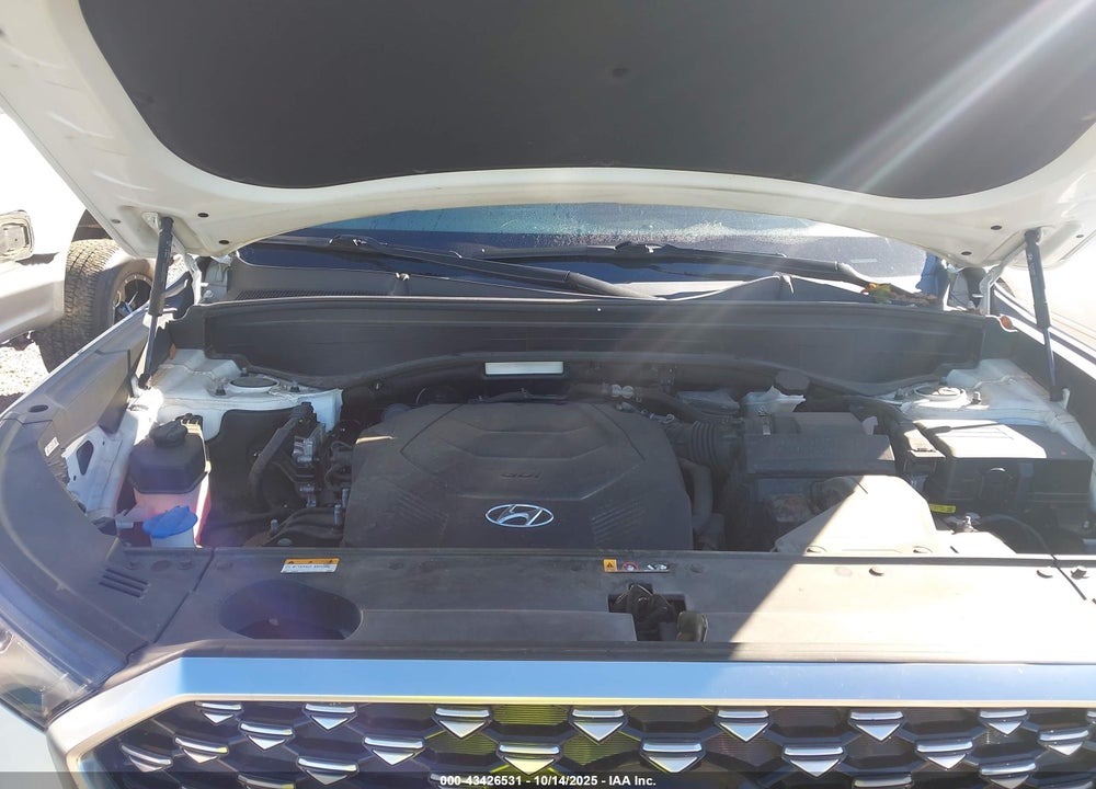 2021 HYUNDAI PALISADE VIN: KM8R74HE0MU324313