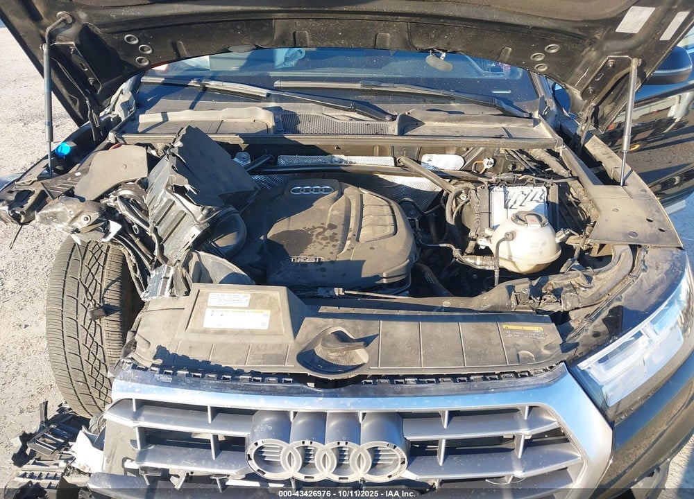 2019 AUDI Q5 VIN: WA1BNAFY4K2049698