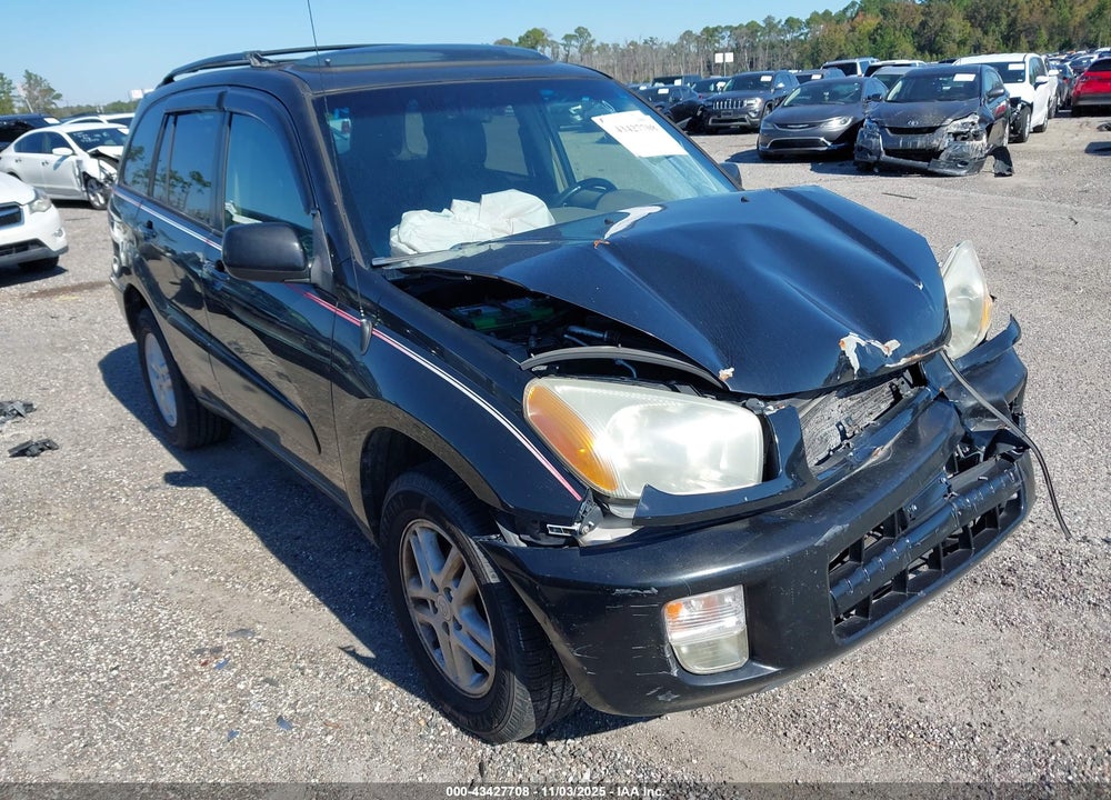 2002 TOYOTA RAV4 VIN: JTEGH20V420046525